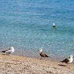 شقة Lidija لوفغان
